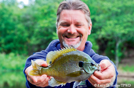 Sunfish